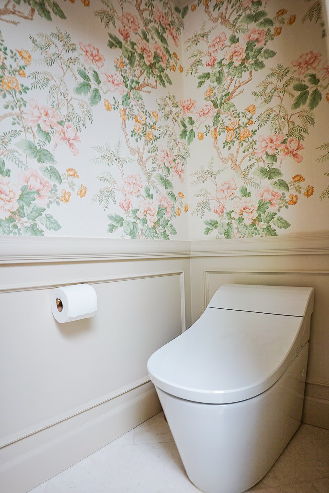 High tech Bidet Toilet 